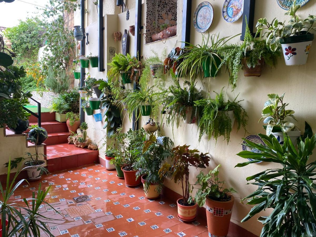 Casa Pepe Villa Орначуелос Екстериор снимка